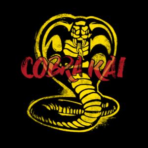 Camiseta Cobra Kai - Karate Kid - Andriu Design